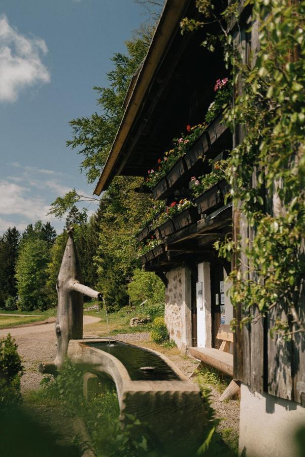 Hotel Der Hirschen Sankt Märgen Exterior foto